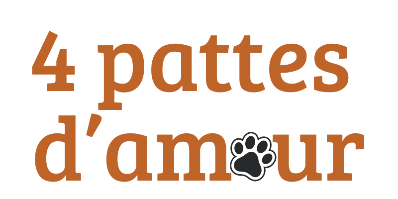 4 Pattes d'Amour