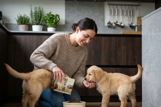 Femme jeune donnant des croquettes à un chiot golden retriever dans une cuisine moderne